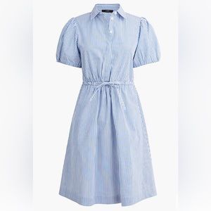 NWT J Crew Factory dress